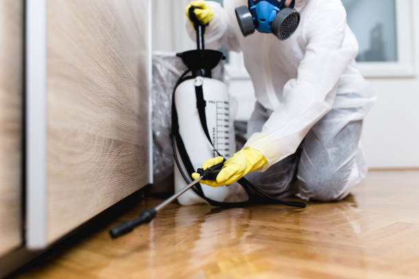 Best Bed Bug Extermination  in Edna, TX