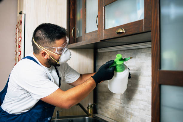 Best Flea Control Services  in Edna, TX
