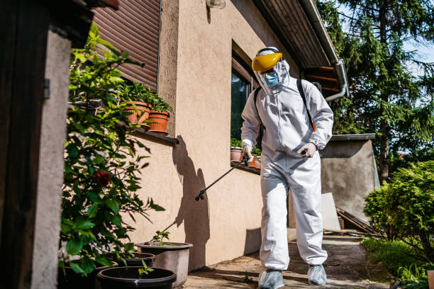 Best Termite Control Services  in Edna, TX