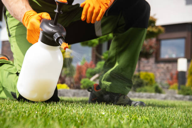 Reliable Edna, TX Pest Control Solutions