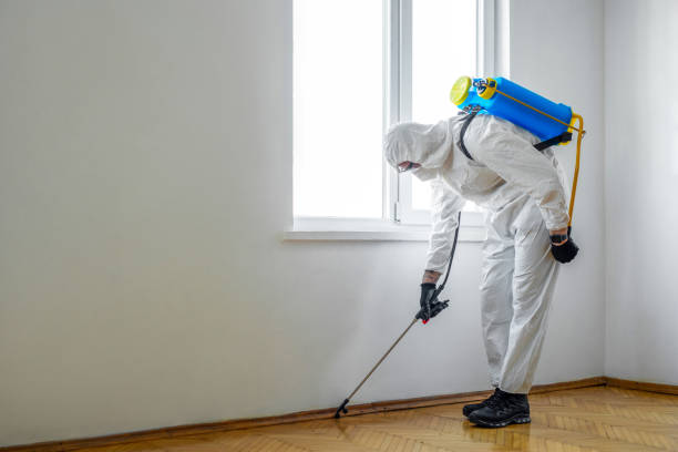 Best Wildlife Control Services  in Edna, TX