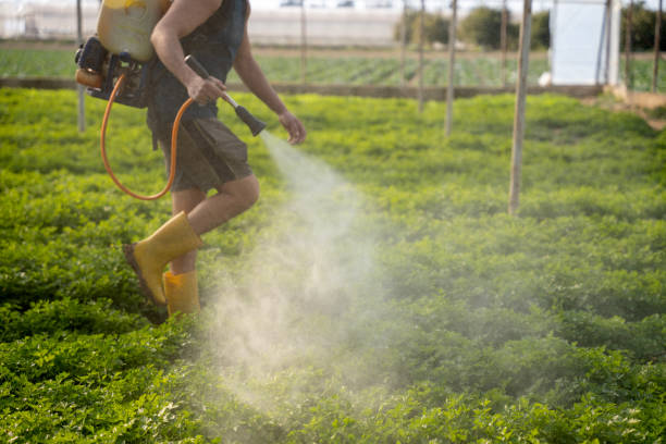 Pest Control Cost in Edna, TX