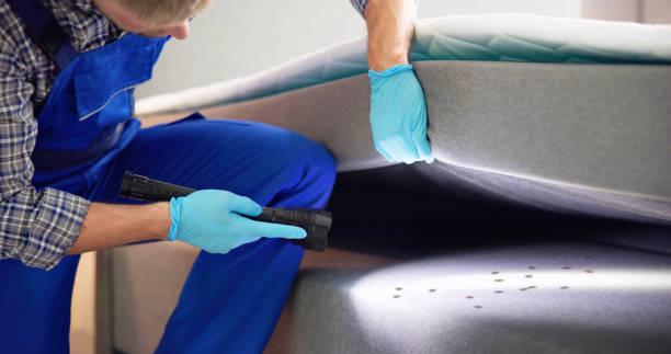 Best Local Pest Control Services  in Edna, TX