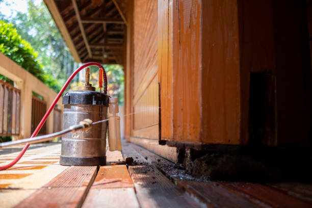 Best Wasp Removal Services  in Edna, TX