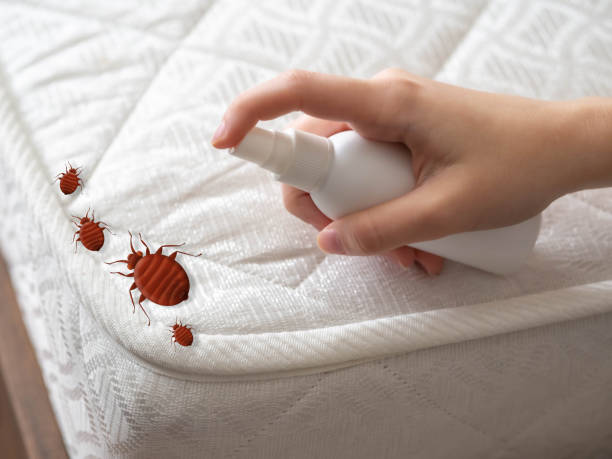 Best Pest Control Near Me in Edna, TX