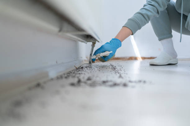 Best Pest Removal Services  in Edna, TX