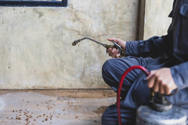 Best Affordable Pest Control Services  in Edna, TX